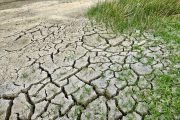 Uppsalas klimatarbete rankas högst i landet