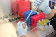 Ny samarbetsplattform skall främja vidareutveckling av viktiga antibiotika
