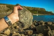 Fossila fotspår utmanar etablerade teorier om människans ursprung