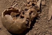 DNA-studie kastar nytt ljus över stridsyxekulturens skandinaver