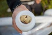 Vill göra lågproduktiva skogar till guldklimpar för naturvården