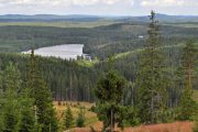 Större klimatnytta i de delar av norra barrskogsbältet där skogen brukas