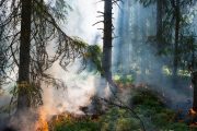 Uppsala brandförsvar förstärks med nytt skogsbrandvärn i Östhammar