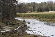 Återskapande av våtmarker i Hågadalen ska gynna biologisk mångfald