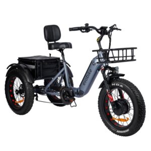 Evobike Tricycle Pro.