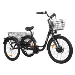 Evobike Elegant.