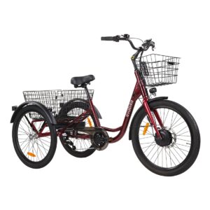 Evobike Elegant.