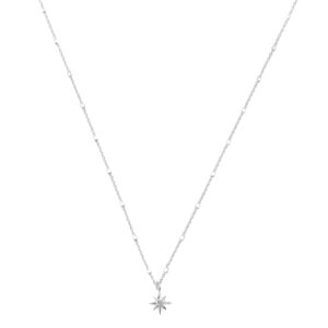 Halsband North Star Silver.