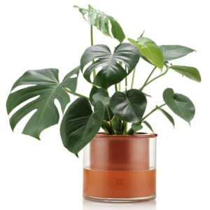 Kruka Wet Pot L.