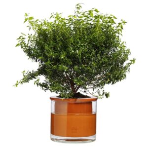 Kruka Wet Pot M.