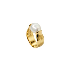 Ring Paxton Guld 19.
