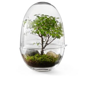 Växthus Grow Glas L.